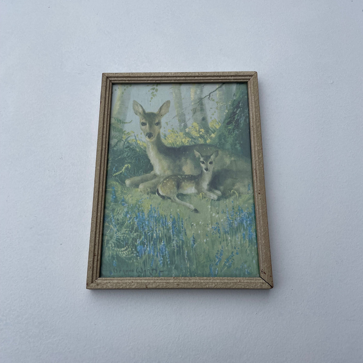 Vintage Vernon Ward Deer Print