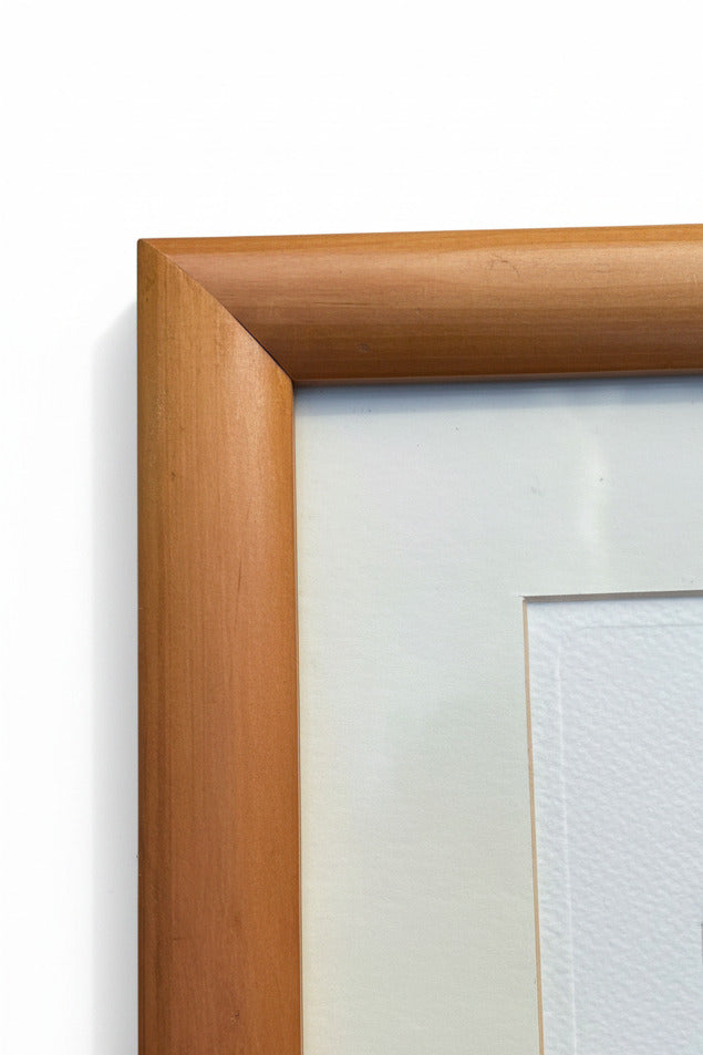 Framed Fish Print