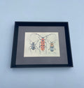 Beetle Print