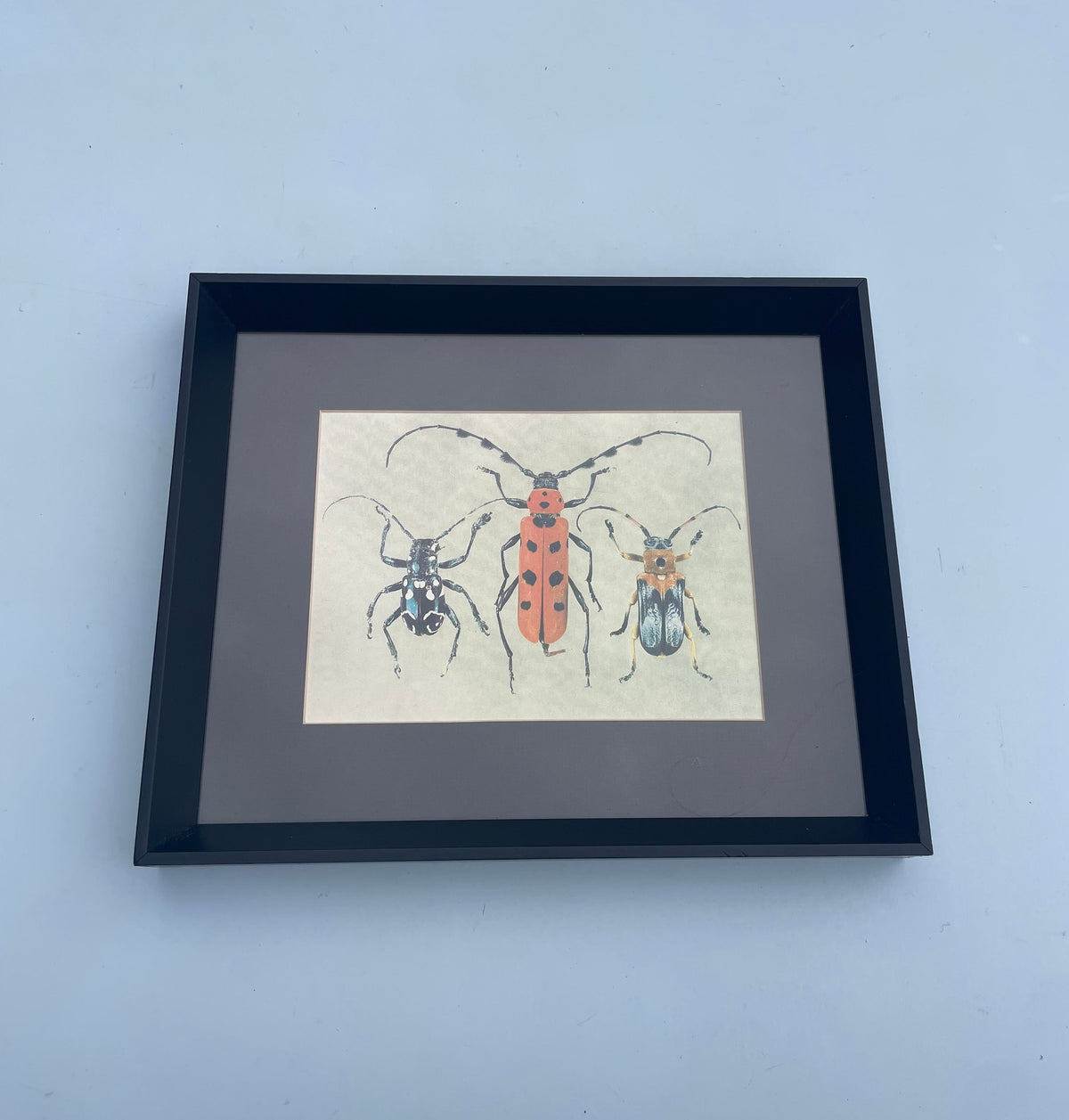 Beetle Print