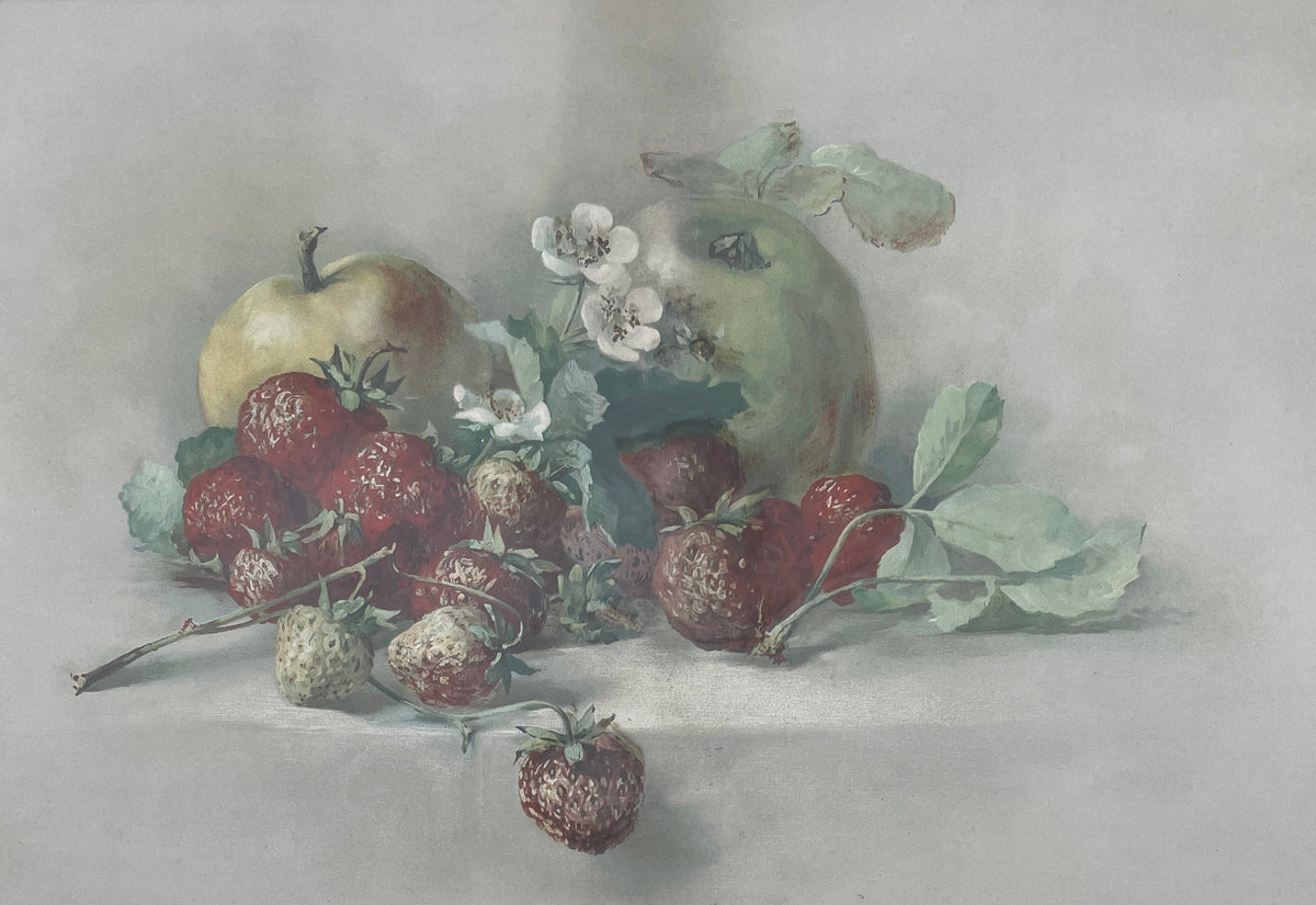 Antique Still Life With Strawberries