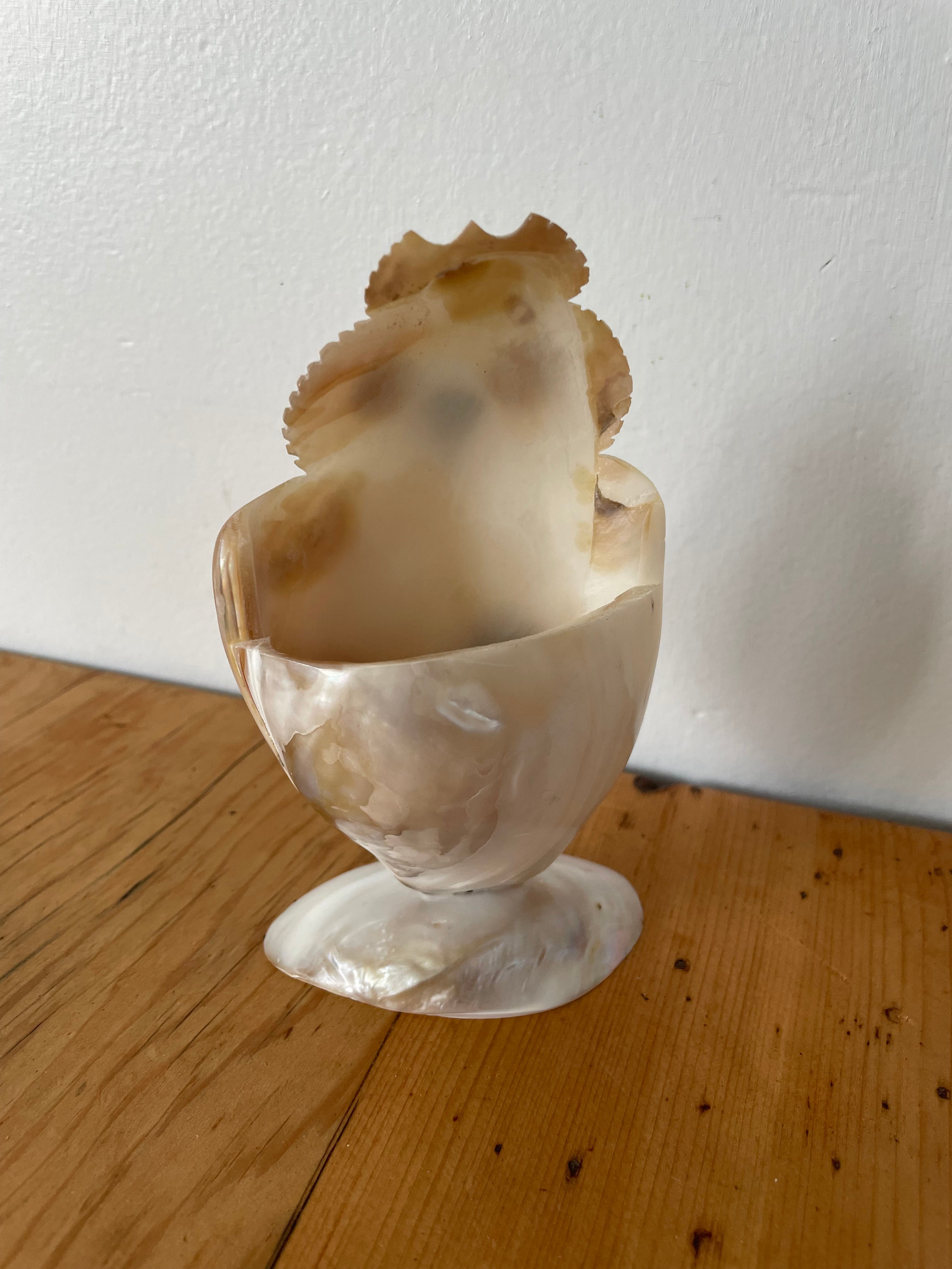 Carved Shell Owl