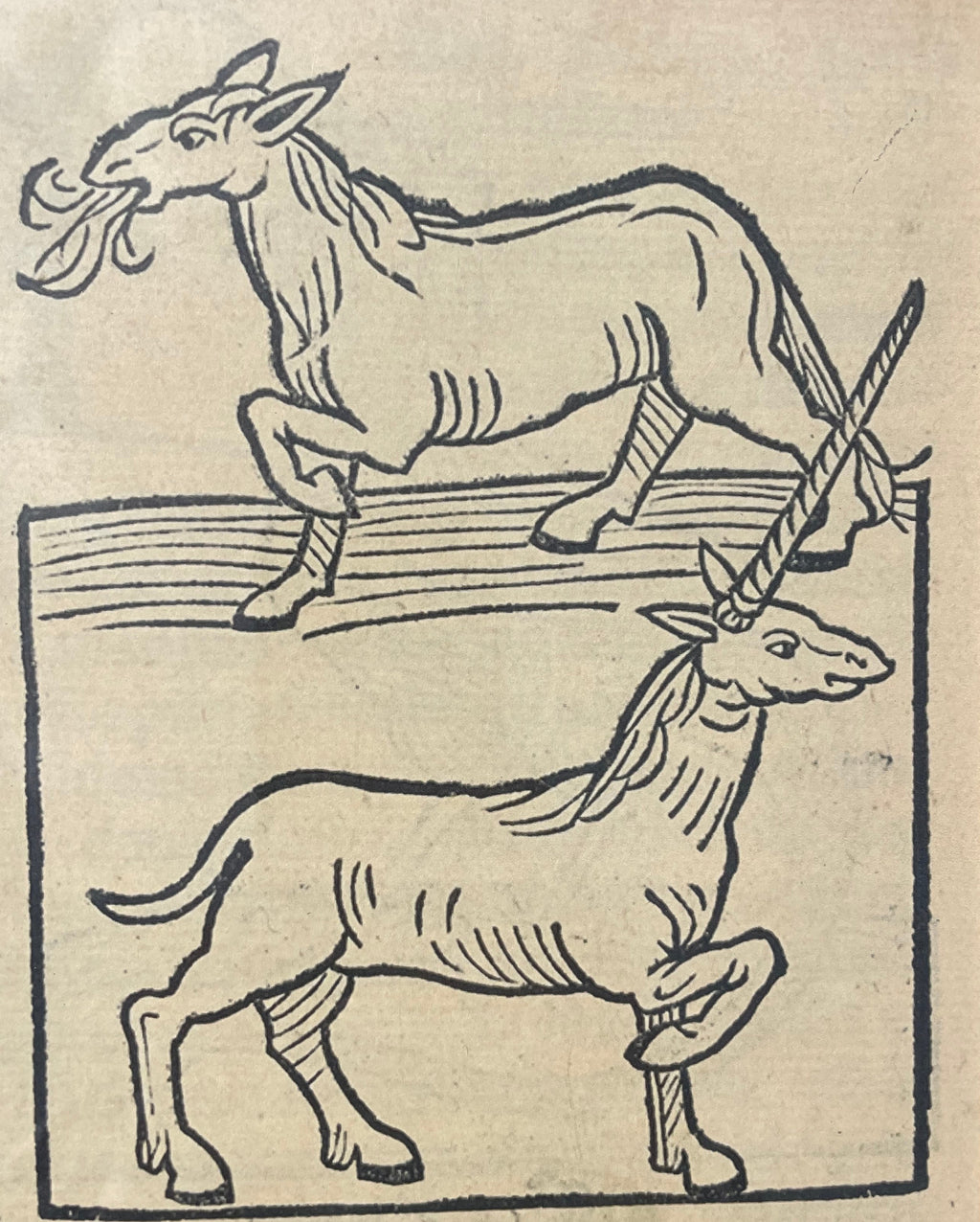 Horse & Unicorn Woodcut Print