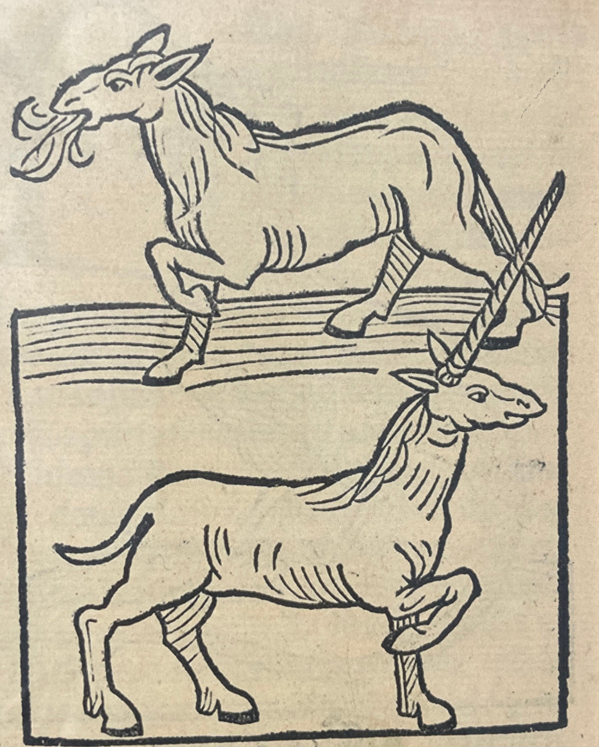 Horse & Unicorn Woodcut Print