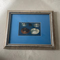 Freshwater Mussel Shell Plate