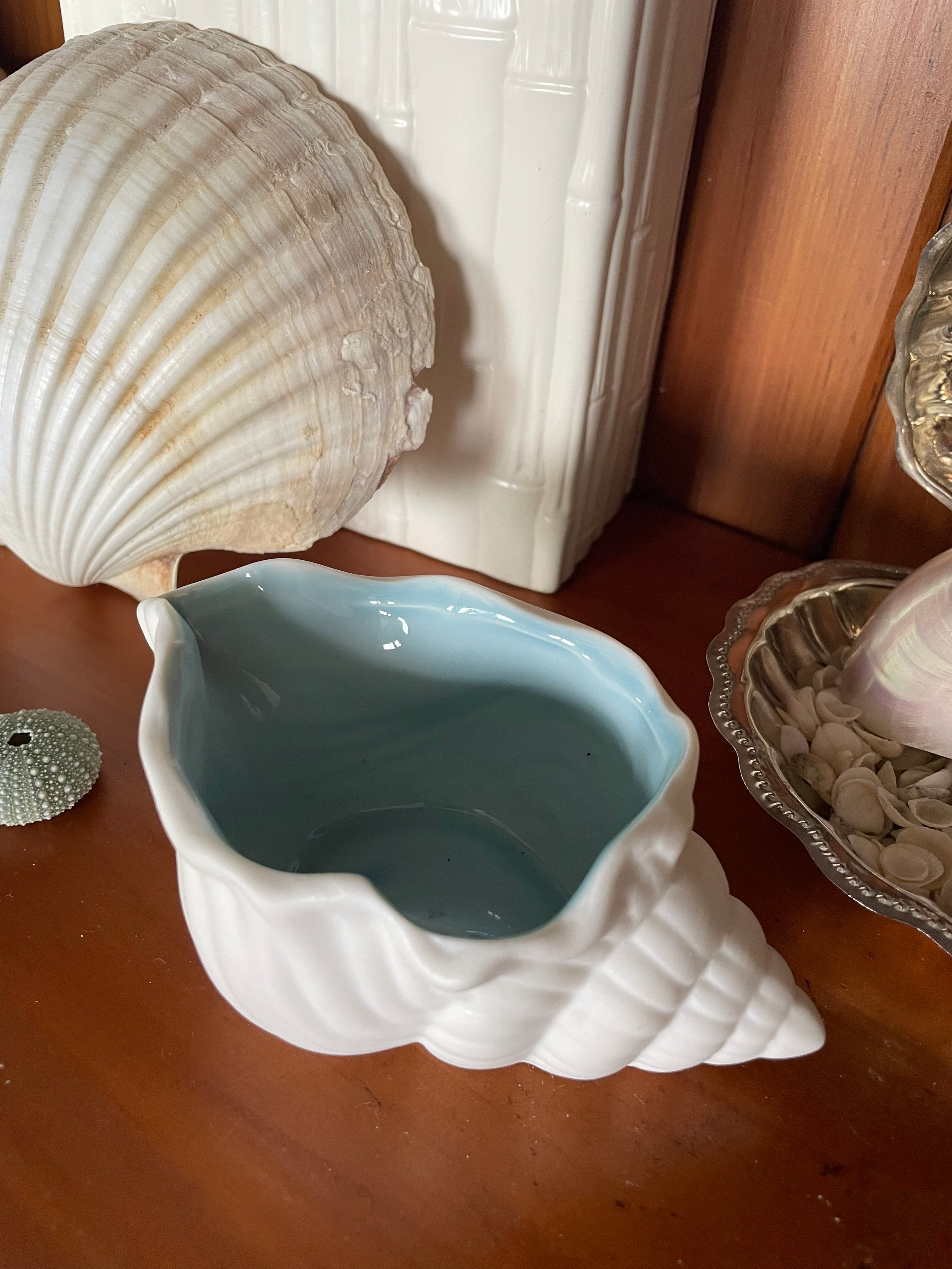 Porcelain conch shell
