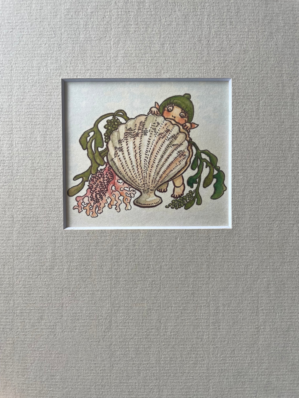 Gumnut Baby Print - Clam With Seaweed