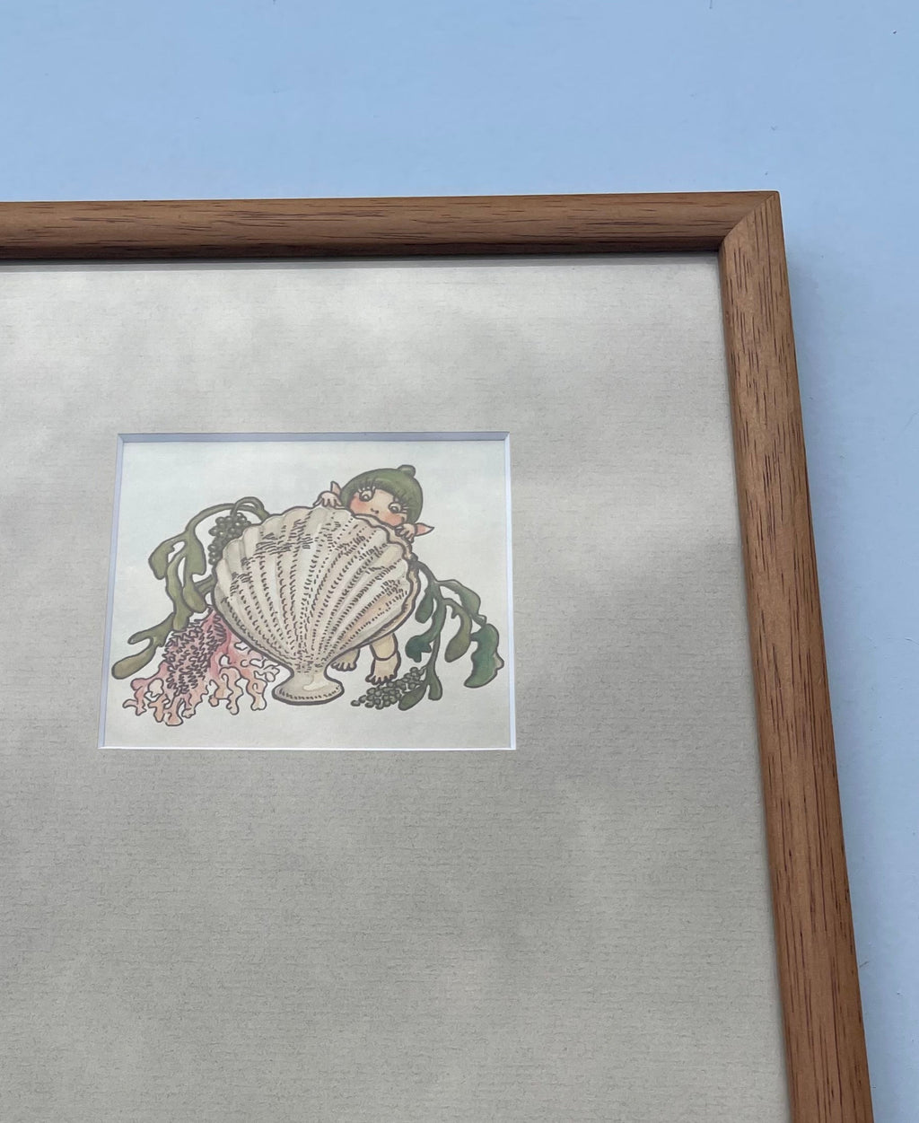Gumnut Baby Print - Clam With Seaweed
