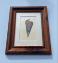 Telescope Snail Shell Print