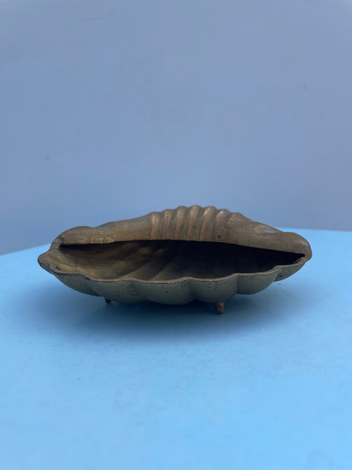 Brass Clam Shell
