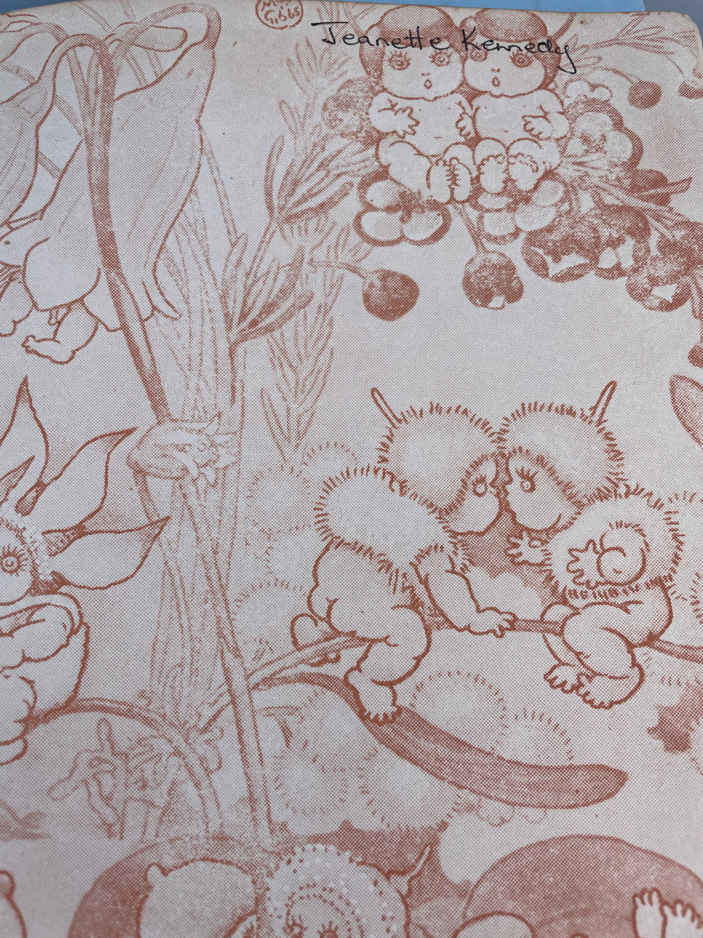 The Complete Adventures Of Snugglepot And Cuddlepie - 1972