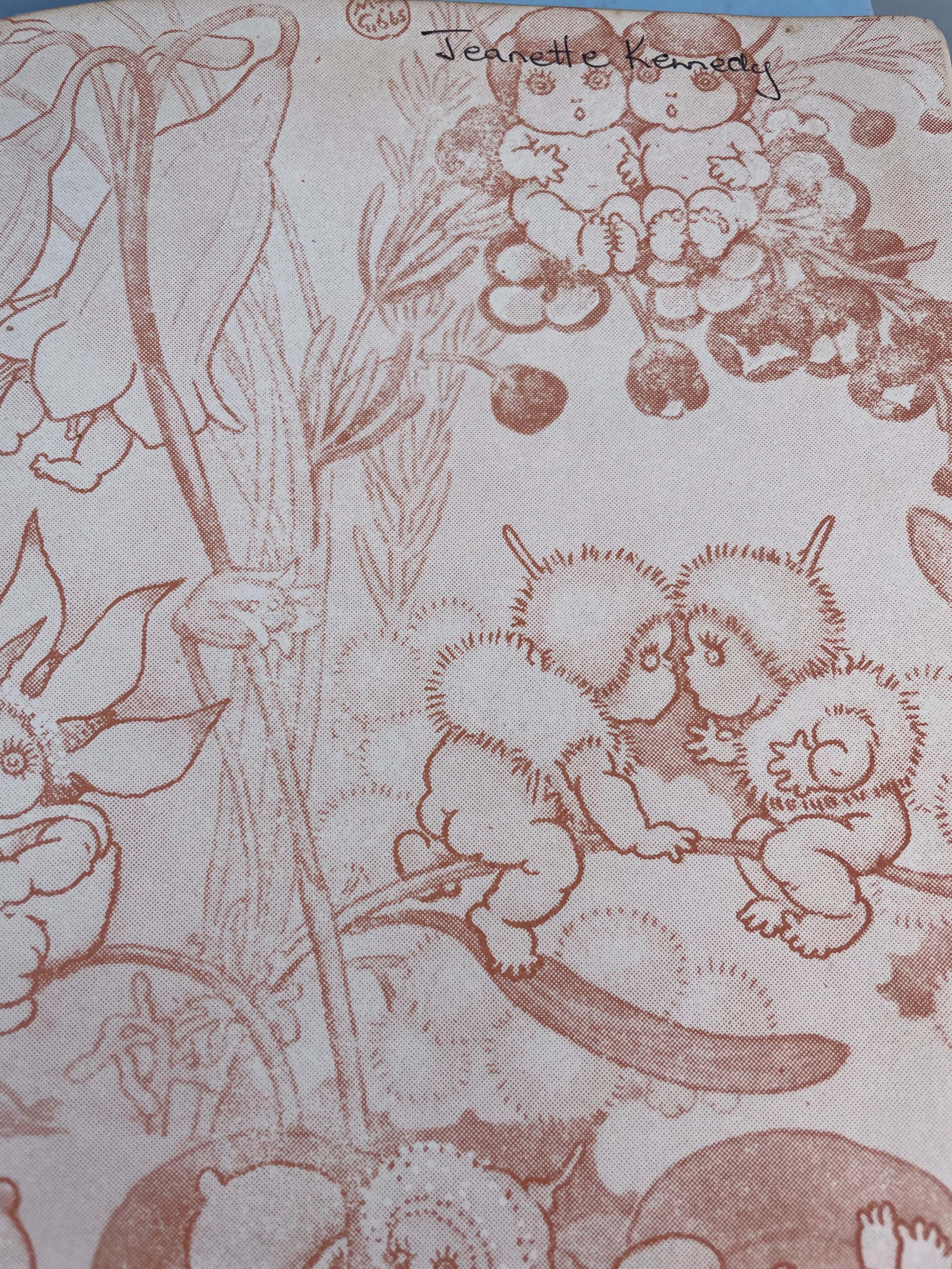 The Complete Adventures Of Snugglepot And Cuddlepie - 1972