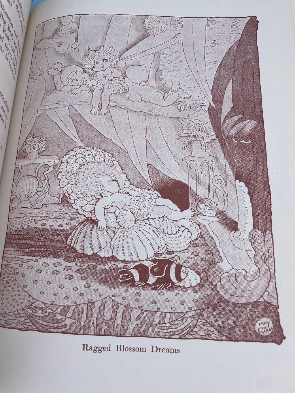 The Complete Adventures Of Snugglepot And Cuddlepie - 1972