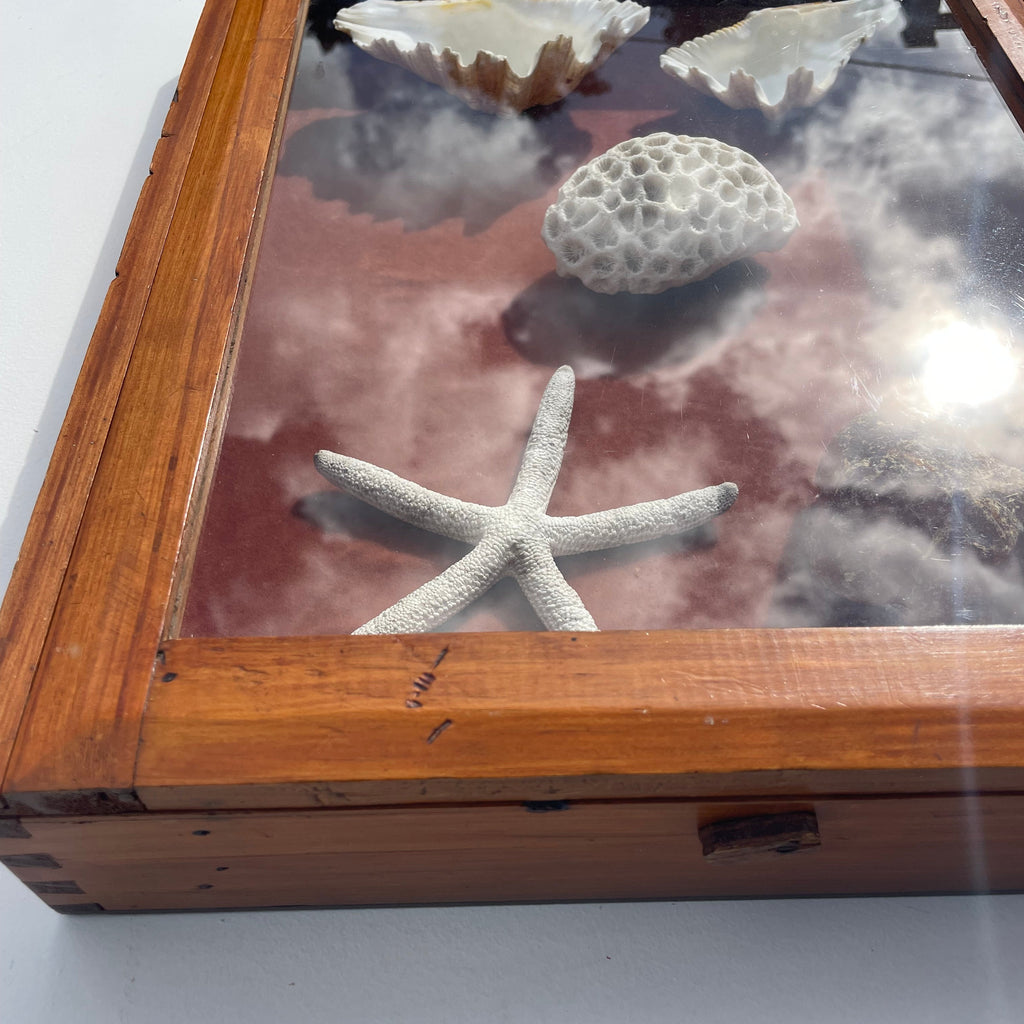 Vintage Solid New Zealand Kauri Display Case – Sliding Glass Shadow Box - Empty