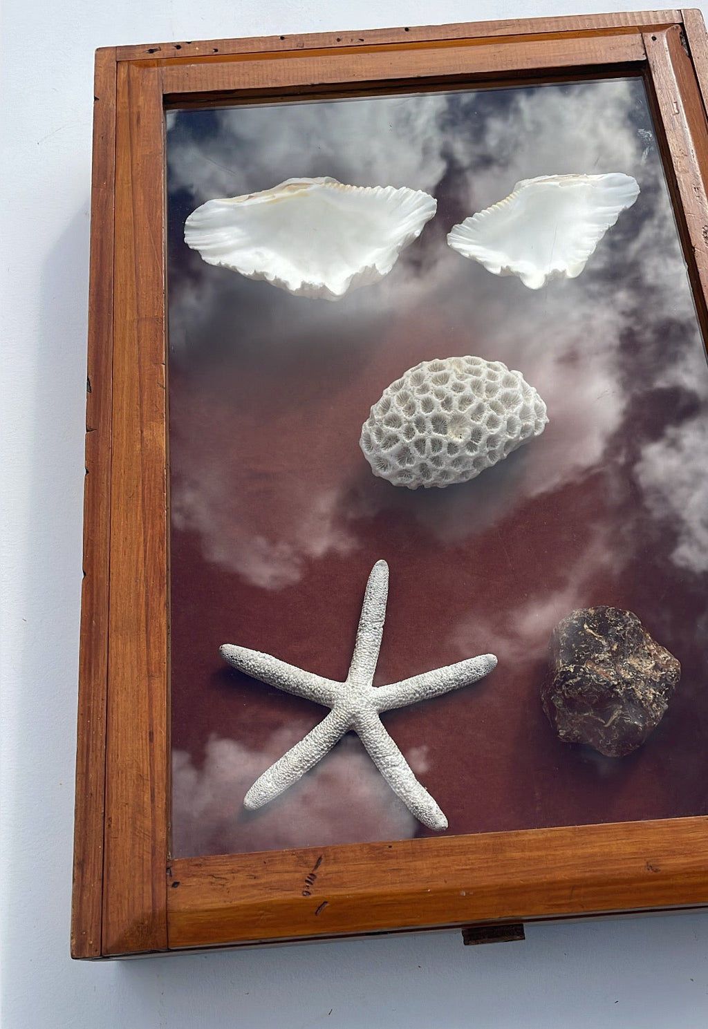 Vintage Solid New Zealand Kauri Display Case – Sliding Glass Shadow Box - Empty