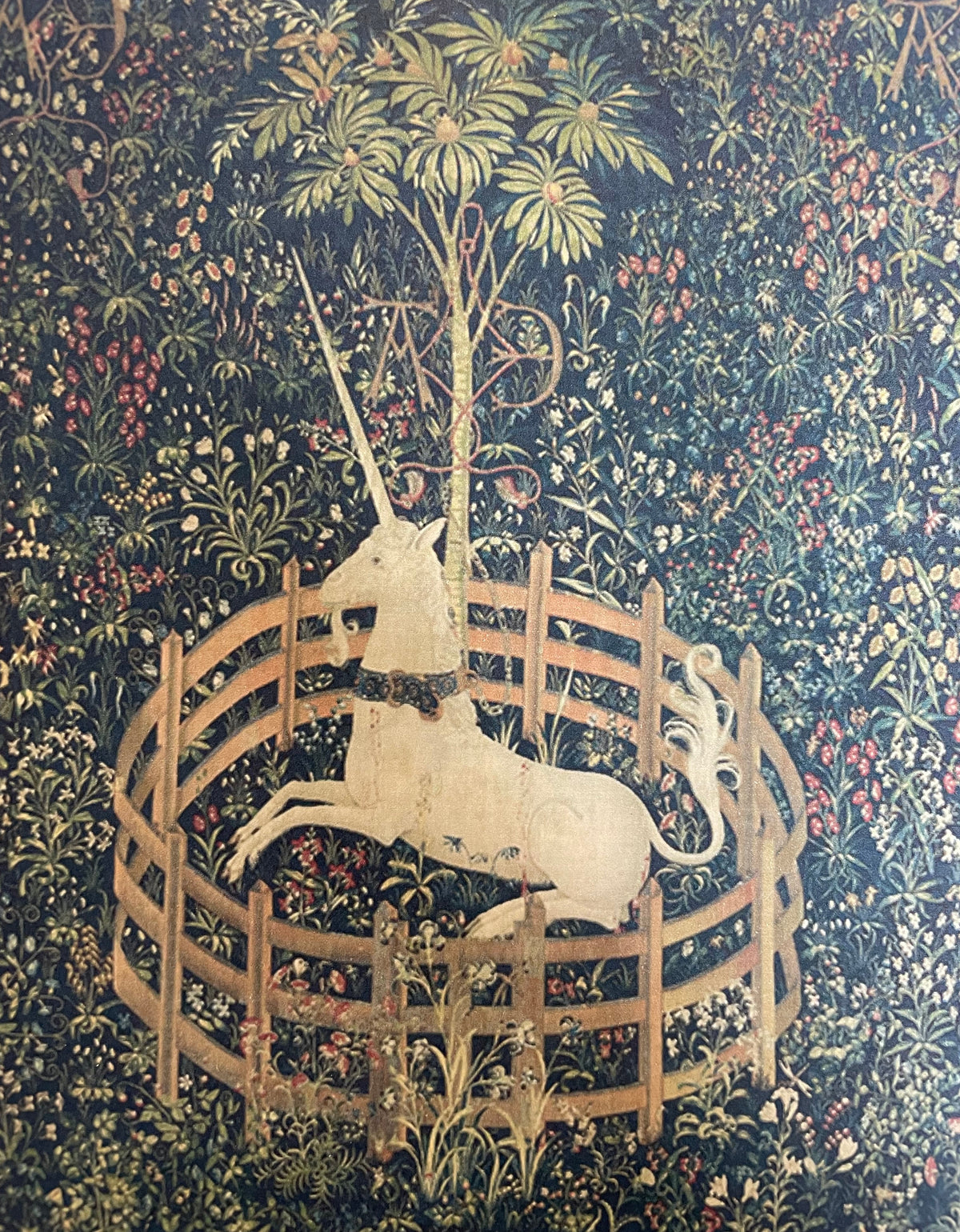 Unicorn Rests In A Garden Print