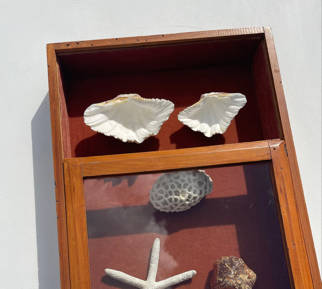 Vintage Solid New Zealand Kauri Display Case – Sliding Glass Shadow Box - Empty