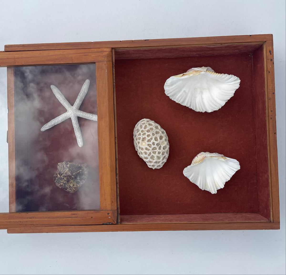 Vintage Solid New Zealand Kauri Display Case – Sliding Glass Shadow Box - Empty